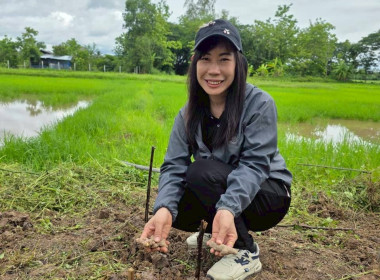 สำนักงานสหกรณ์จังหวัดเชียงราย จัดกิจกรรมปลูกพืชสมุนไพร ... พารามิเตอร์รูปภาพ 17